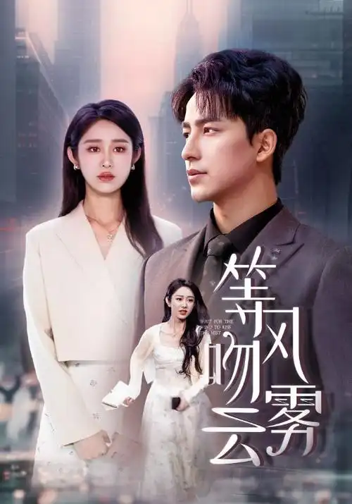 热播电视剧城中之城全集在线观看